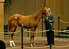 Market Remains Down at Keeneland Market Remains Down at Keeneland