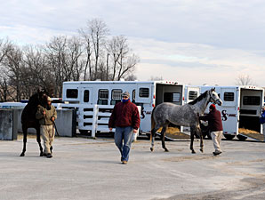 Keeneland January Sale Faces Tough Times Keeneland January Sale Faces Tough Times