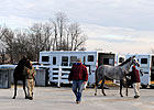Keeneland January Sale Faces Tough Times