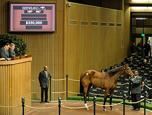 Distorted Humor Filly Sells For $350,000 Distorted Humor Filly Sells For $350,000