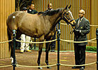Half-sister to Gio Ponti Brings $950,000