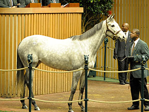 Keeneland Jan. Sale Average Down Less Than 1% Keeneland Jan. Sale Average Down Less Than 1%