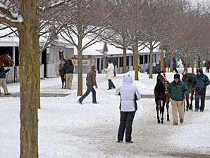 Keeneland Jan. Sale Suffers More Big Setbacks Keeneland Jan. Sale Suffers More Big Setbacks