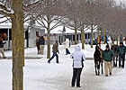 Keeneland Jan. Sale Suffers More Big Setbacks Keeneland Jan. Sale Suffers More Big Setbacks