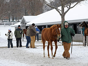 Missvinski Brings $400,000 at Keeneland Missvinski Brings $400,000 at Keeneland
