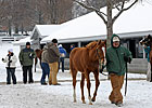 Missvinski Brings $400,000 at Keeneland Missvinski Brings $400,000 at Keeneland