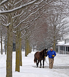 Snow, Cold Don't Stop Show at Keeneland Snow, Cold Don't Stop Show at Keeneland