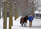 Snow, Cold Don't Stop Show at Keeneland