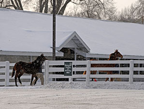 Young Horses Could Stand Out at Keeneland Young Horses Could Stand Out at Keeneland