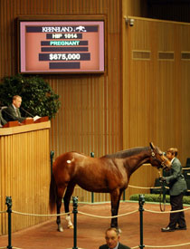 Same Story at Keeneland Day Four Same Story at Keeneland Day Four