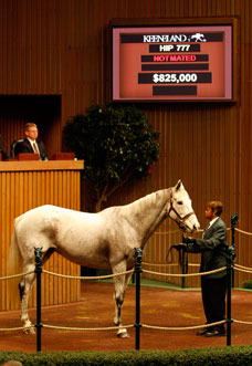 Keeneland Suffers More Setbacks Keeneland Suffers More Setbacks