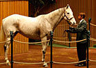 Keeneland Suffers More Setbacks
