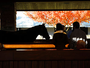 Sky Mesa Colt Tops; Day's Market off 36% Sky Mesa Colt Tops; Day's Market off 36%