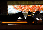 Sky Mesa Colt Tops; Day's Market off 36% Sky Mesa Colt Tops; Day's Market off 36%