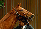 Results Mixed at Keeneland Results Mixed at Keeneland