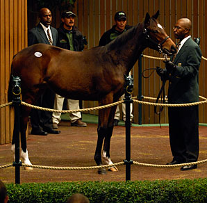 Demand for Weanlings Shapes Market Demand for Weanlings Shapes Market