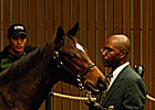 Demand for Weanlings Shapes Market