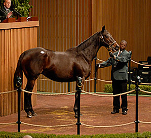 Gross Revenue Rises at Keeneland Gross Revenue Rises at Keeneland