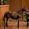 Gross Revenue Rises at Keeneland