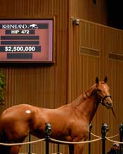 Keeneland November, Day 2 Notes Keeneland November, Day 2 Notes