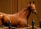 Keeneland November, Day 2 Notes
