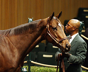 Keeneland November Continues Upward Keeneland November Continues Upward