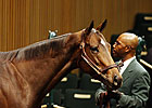 Keeneland November Continues Upward