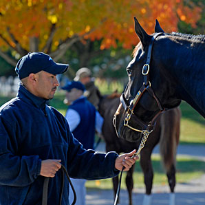 Keeneland Market Rises Dramatically Keeneland Market Rises Dramatically