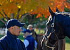 Keeneland Market Rises Dramatically Keeneland Market Rises Dramatically