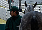 Keeneland Posts Double Digit Gains Keeneland Posts Double Digit Gains