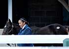 Keeneland Sale Offers Look at First Offspring for Some Sires