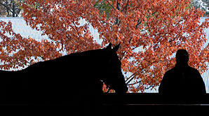 Keeneland Gross Sets Record Keeneland Gross Sets Record