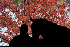 Keeneland Up as Sale Winds Down Keeneland Up as Sale Winds Down