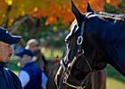 Solid Market Expected for Keeneland November Breeding Stock Sale