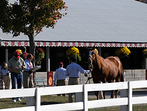 Keeneland Sale Faces Economic Hurdles Keeneland Sale Faces Economic Hurdles
