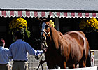 Keeneland Sale Faces Economic Hurdles
