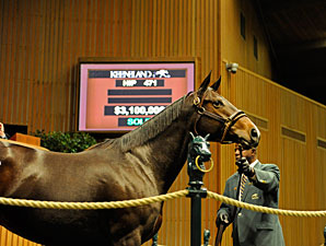 Overbrook Stock Boosts Keeneland's 2nd Day Overbrook Stock Boosts Keeneland's 2nd Day
