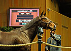 Overbrook Stock Boosts Keeneland's 2nd Day
