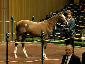 Gross Rises on Keeneland Sale's Third Day Gross Rises on Keeneland Sale's Third Day