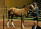 Gross Rises on Keeneland Sale's Third Day Gross Rises on Keeneland Sale's Third Day