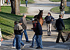Tiznow Colt Tops Keeneland's Saturday Session Tiznow Colt Tops Keeneland's Saturday Session