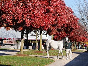 Empire Maker Fillies Top Keeneland Session Empire Maker Fillies Top Keeneland Session