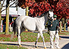Empire Maker Fillies Top Keeneland Session