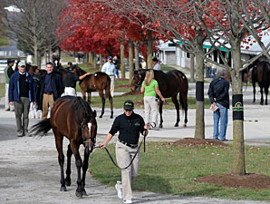 Artie Schiller Filly Paces Keeneland Sale Artie Schiller Filly Paces Keeneland Sale