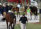 Artie Schiller Filly Paces Keeneland Sale Artie Schiller Filly Paces Keeneland Sale