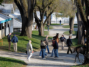 Keeneland Sale Ends on Encouraging Note Keeneland Sale Ends on Encouraging Note