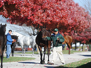 Lease of Life Brings $110,000 at Keeneland Lease of Life Brings $110,000 at Keeneland