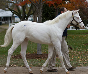 Momentum Continues at Keeneland Momentum Continues at Keeneland