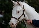 Momentum Continues at Keeneland Momentum Continues at Keeneland