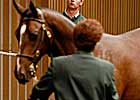 Day Nine at Keeneland Nets Across-the-Board Gains Day Nine at Keeneland Nets Across-the-Board Gains